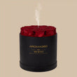 The Monet Scent Diffuser